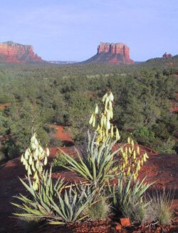 Call of Sedona’s Canyons & Landscape Temples