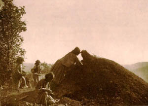 Apache women loading a agave roasting mound--historical image.
