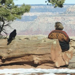 Raven sitting next to woman on bench by Grand Canyon; symbolizes nature connection experiences and wonder of creation